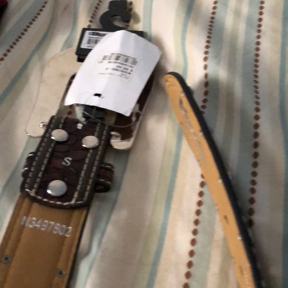 Brown everyday wear flashy belt - Picture 7 of 7